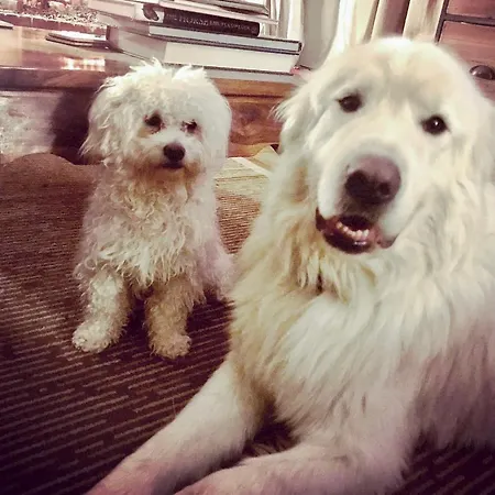 Podere Umbro Apartman Città della Pieve