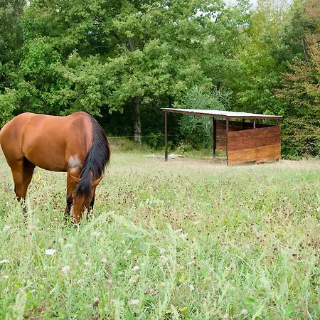 Podere Umbro Città della Pieve