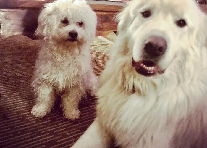 Podere Umbro Apartment Citta della Pieve